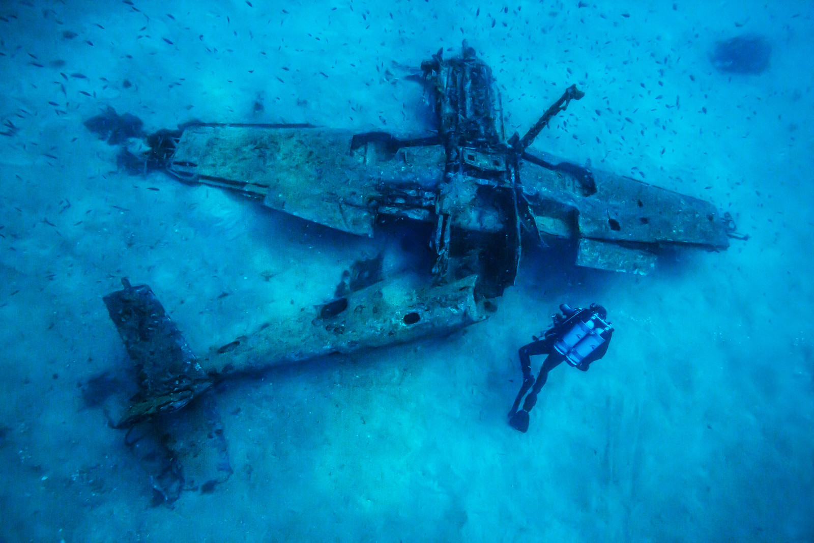 Epave d avion Messerschmitt Bf 109 G-6 abattu a l ile de Planier en 1944 .