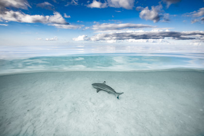 © Guillaume Ruoppolo-8309.jpg