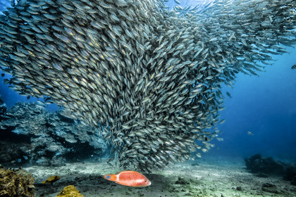 Saipan, Mariannes du Nord, Pacifique central, Pacifique