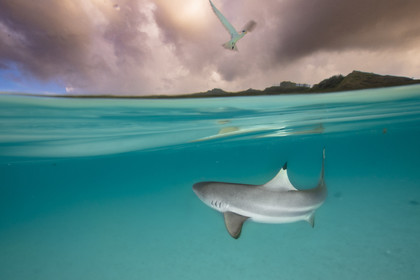 © Guillaume Ruoppolo-8256.jpg