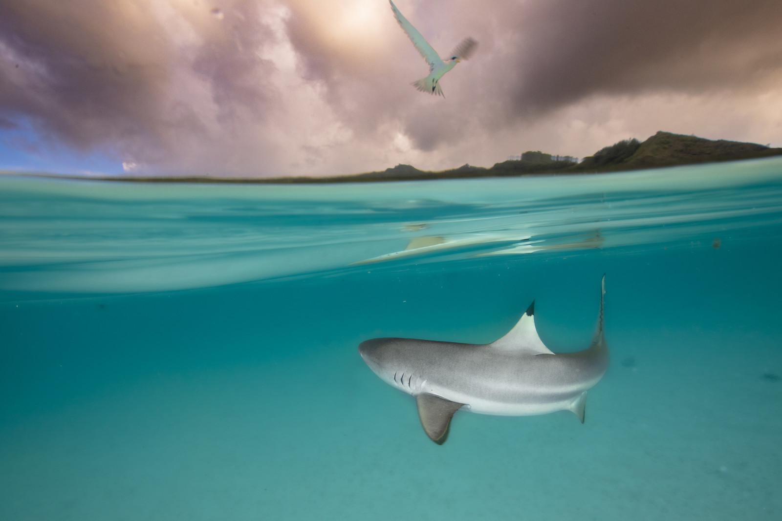 © Guillaume Ruoppolo-8256.jpg