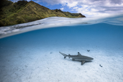 © Guillaume Ruoppolo-8543.jpg