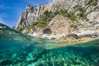 Ambiance sous marine dans les calanques de Marseille